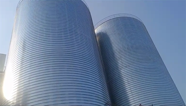 嘉禾2座混凝土高架卷板仓